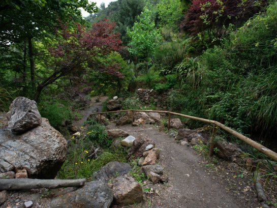 Botanical Garden4 Botanical Garden4