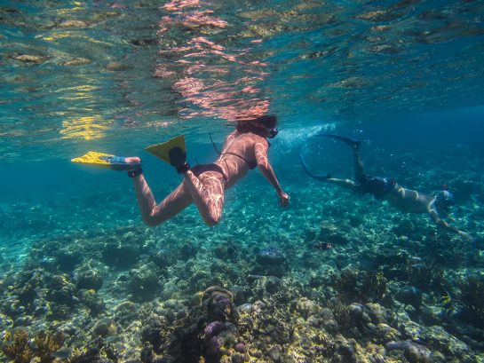 woman snorkeling at the reef young woman snorkeling at the reef in indonesia