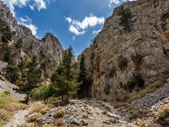 Rocks of Imbros gorge. Crete. Greece. View of rocks of Imbros gorge. Crete. Greece.