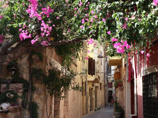old town1 old town1